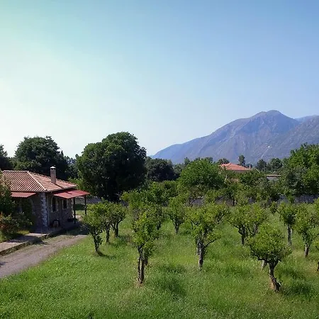 Plethon * Magoula (Evia)